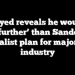 El-Sayed reveals he would go ‘step further’ than Sanders on socialist plan for major US industry