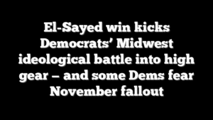 El-Sayed win kicks Democrats’ Midwest ideological battle into high gear — and some Dems fear November fallout