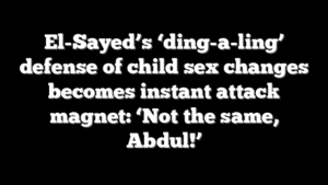 El-Sayed’s ‘ding-a-ling’ defense of child sex changes becomes instant attack magnet: ‘Not the same, Abdul!’