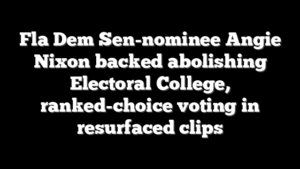 Fla Dem Sen-nominee Angie Nixon backed abolishing Electoral College, ranked-choice voting in resurfaced clips
