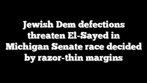 Jewish Dem defections threaten El-Sayed in Michigan Senate race decided by razor-thin margins