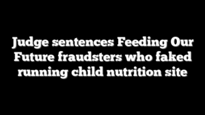 Judge sentences Feeding Our Future fraudsters who faked running child nutrition site