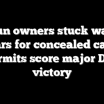 LA gun owners stuck waiting years for concealed carry permits score major DOJ victory