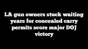 LA gun owners stuck waiting years for concealed carry permits score major DOJ victory