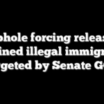 Loophole forcing release of detained illegal immigrants targeted by Senate GOP