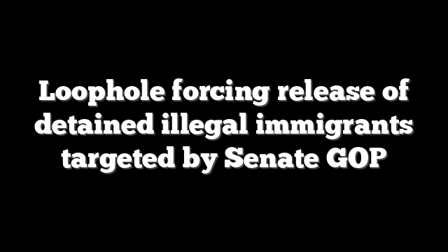 Loophole forcing release of detained illegal immigrants targeted by Senate GOP