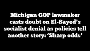 Michigan GOP lawmaker casts doubt on El-Sayed’s socialist denial as policies tell another story: ‘Sharp odds’