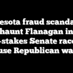 Minnesota fraud scandal will haunt Flanagan in high-stakes Senate race, top House Republican warns