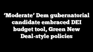 ‘Moderate’ Dem gubernatorial candidate embraced DEI budget tool, Green New Deal-style policies