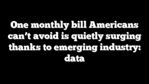 One monthly bill Americans can’t avoid is quietly surging thanks to emerging industry: data