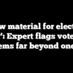 ‘Raw material for election fraud’: Expert flags voter-roll problems far beyond one state