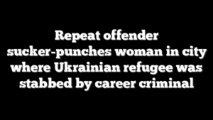 Repeat offender sucker-punches woman in city where Ukrainian refugee was stabbed by career criminal