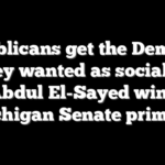 Republicans get the Democrat they wanted as socialist Abdul El-Sayed wins Michigan Senate primary