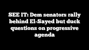 SEE IT: Dem senators rally behind El-Sayed but duck questions on progressive agenda