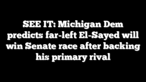 SEE IT: Michigan Dem predicts far-left El-Sayed will win Senate race after backing his primary rival