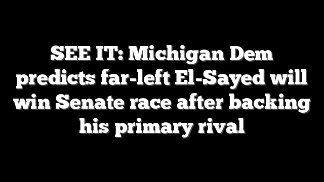 SEE IT: Michigan Dem predicts far-left El-Sayed will win Senate race after backing his primary rival