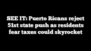 SEE IT: Puerto Ricans reject 51st state push as residents fear taxes could skyrocket