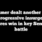 Schumer dealt another blow as progressive insurgency scores win in key Senate battle