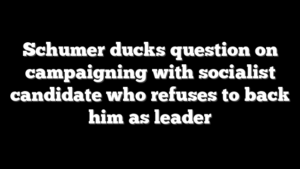 Schumer ducks question on campaigning with socialist candidate who refuses to back him as leader