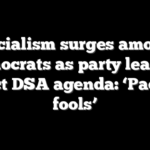 Socialism surges among Democrats as party leaders reject DSA agenda: ‘Pack of fools’
