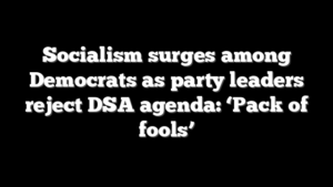 Socialism surges among Democrats as party leaders reject DSA agenda: ‘Pack of fools’