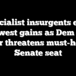 Socialist insurgents eye Midwest gains as Dem civil war threatens must-hold Senate seat