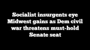 Socialist insurgents eye Midwest gains as Dem civil war threatens must-hold Senate seat