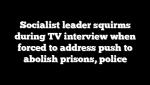 Socialist leader squirms during TV interview when forced to address push to abolish prisons, police