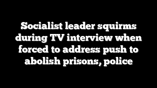Socialist leader squirms during TV interview when forced to address push to abolish prisons, police