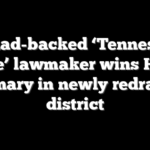 Squad-backed ‘Tennessee Three’ lawmaker wins House primary in newly redrawn district