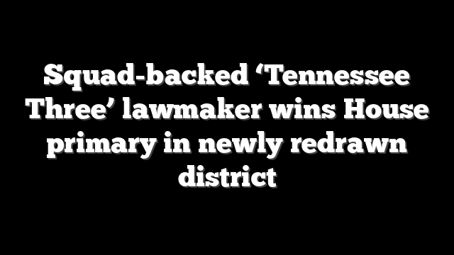 Squad-backed ‘Tennessee Three’ lawmaker wins House primary in newly redrawn district