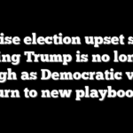 Surprise election upset shows hating Trump is no longer enough as Democratic voters turn to new playbook