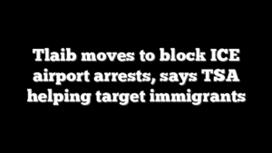 Tlaib moves to block ICE airport arrests, says TSA helping target immigrants
