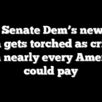 Top Senate Dem’s new tax idea gets torched as critics warn nearly every American could pay