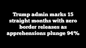 Trump admin marks 15 straight months with zero border releases as apprehensions plunge 94%