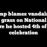 Trump blames vandals for dead grass on National Mall where he hosted 4th of July celebration