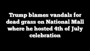 Trump blames vandals for dead grass on National Mall where he hosted 4th of July celebration