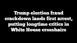 Trump election fraud crackdown lands first arrest, putting longtime critics in White House crosshairs