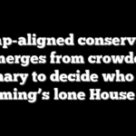 Trump-aligned conservative emerges from crowded primary to decide who fills Wyoming’s lone House seat