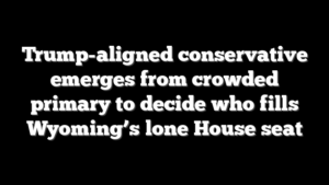 Trump-aligned conservative emerges from crowded primary to decide who fills Wyoming’s lone House seat