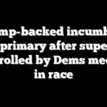 Trump-backed incumbent loses primary after super PAC bankrolled by Dems meddled in race