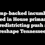 Trump-backed incumbent ousted in House primary as GOP redistricting push set to reshape Tennessee
