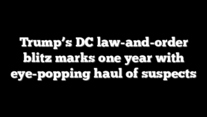 Trump’s DC law-and-order blitz marks one year with eye-popping haul of suspects