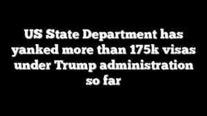 US State Department has yanked more than 175k visas under Trump administration so far