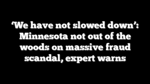 ‘We have not slowed down’: Minnesota not out of the woods on massive fraud scandal, expert warns