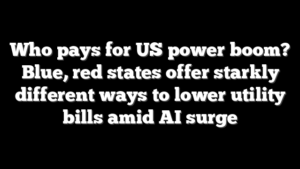 Who pays for US power boom? Blue, red states offer starkly different ways to lower utility bills amid AI surge
