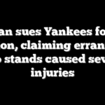 Woman sues Yankees for $10 million, claiming errant bat into stands caused severe injuries