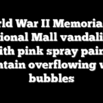 World War II Memorial on National Mall vandalized with pink spray paint; fountain overflowing with bubbles