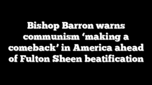 Bishop Barron warns communism ‘making a comeback’ in America ahead of Fulton Sheen beatification