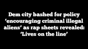 Dem city bashed for policy ‘encouraging criminal illegal aliens’ as rap sheets revealed: ‘Lives on the line’